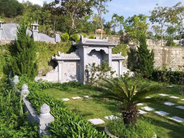 cay-xanh-nao-giup-mo-phan-them-phuc-khi-cho-to-tien-va-con-chau