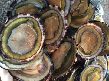 dac-san-nghe-ten-nguong-do-mat-xua-khong-ai-ngo-ngang-nay-thanh-mon-khoai-khau-350-000-d-kg-thu-hoach-ban-quanh-nam