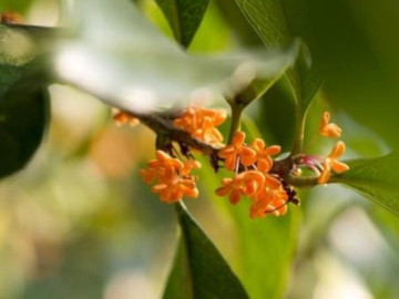 3-cach-kheo-leo-tu-choi-cho-vay-tien-nguoi-ca-ne-nhat-cung-lam-duoc