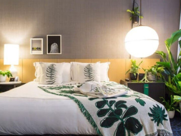 de-co-giac-ngu-ngon-giam-stress-nen-dat-cay-nay-trong-phong-ngu