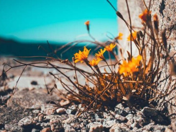 quan-he-than-den-may-nguoi-khon-ngoan-cung-khong-cho-muon-4-thu-nay