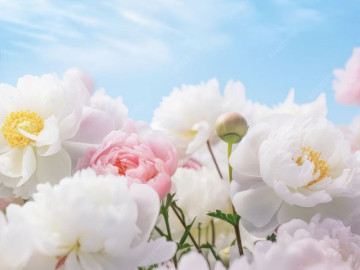 ngay-sinh-am-lich-cua-nguoi-song-tinh-cam-chan-thanh-cang-lon-tuoi-cang-huong-phuc