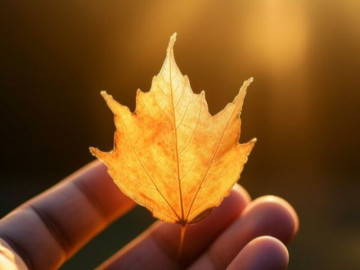 3-kieu-nguoi-dang-cap-dung-sau-nhung-trang-ca-nhan-trong-tron-khong-phai-co-an-minh-ma-boi-noi-tam-qua-vung-vang