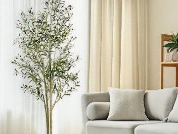 5-loai-cay-lam-sang-phong-khach-dat-dung-giup-khong-gian-tro-nen-sang-trong