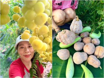 man-nhan-khu-vuon-vang-rong-cua-ca-si-my-le-bi-ho-lo-sai-triu-du-loai-trai-chin-lung-lang-khap-loi-di