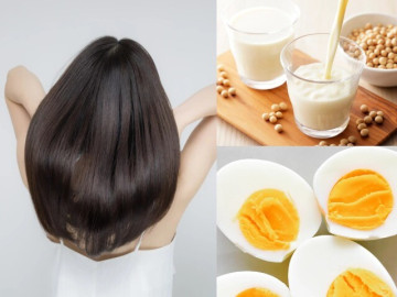 5-thuc-pham-3-mon-an-giup-giai-quyet-van-de-rung-toc-tu-tan-goc-chi-em-an-deu-dan-toc-vua-day-vua-chac