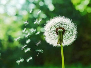 nguoi-co-pham-chat-kem-thuong-cua-mieng-3-cau-nay-gap-phai-cho-ket-than