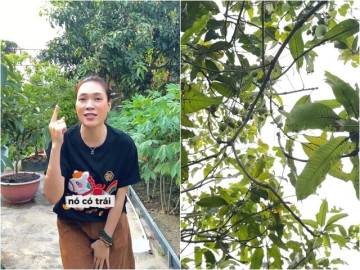 my-tam-khoe-trai-chi-chit-trong-biet-phu-o-cu-chi-tam-su-voi-tung-cai-cay-co-len-nha-con