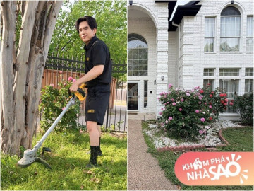 dan-truong-song-doc-than-trong-co-ngoi-rong-dan-hoa-hong-cao-gan-bang-nguoi-co-moc-um-tum-sau-may-thang-di-xa