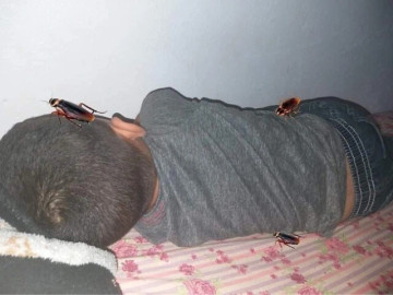 ba-me-gay-tranh-cai-voi-buc-anh-tri-con-trai-luoi-tam-khien-dua-tre-so-den-muc-tam-10-lan-ngay