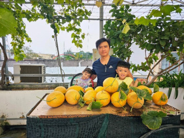 gia-dinh-o-lam-dong-lam-vuon-72m2-tren-san-thuong-an-trai-cay-sach-quanh-nam