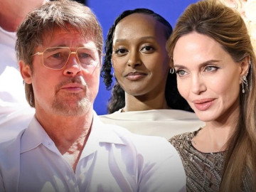 brad-pitt-dang-dan-bi-xoa-so-khoi-cuoc-doi-6-dua-con-vi-angelina-jolie