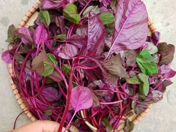 4-loai-rau-tang-chieu-cao-cho-tre-vao-mua-he-vi-cuc-giau-canxi-co-loai-con-vuot-troi-sua-bo